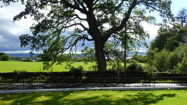 Arrochoile Bed and Breakfast Balmaha Exteriör bild